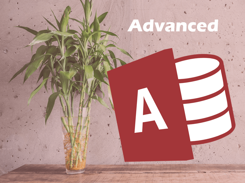 Access Advanced_tiny