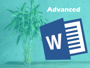 Word advanced_tiny
