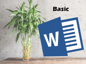 Word basic_Tiny
